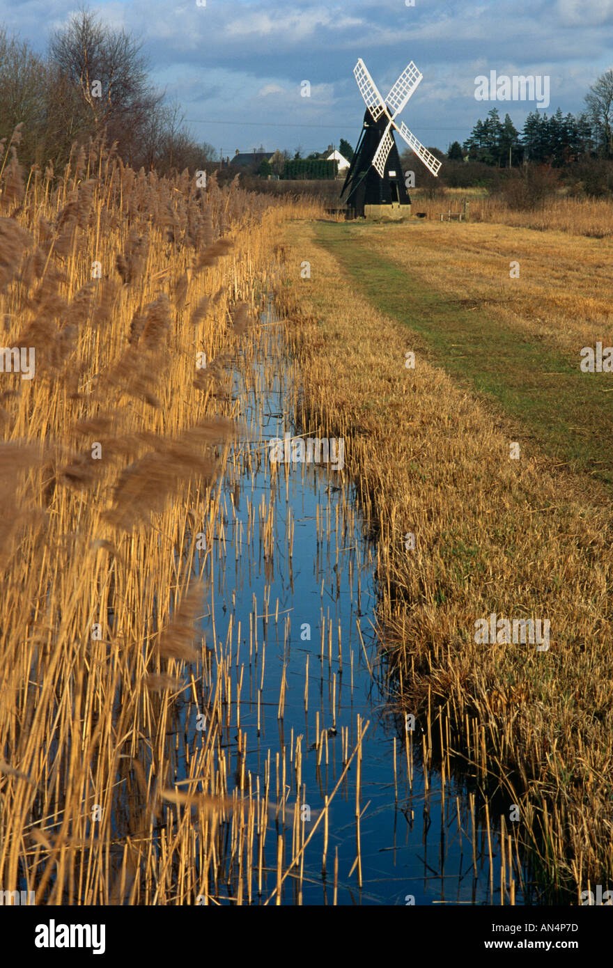 Wicken Fen Wind Pumpe East Anglia Stockfoto