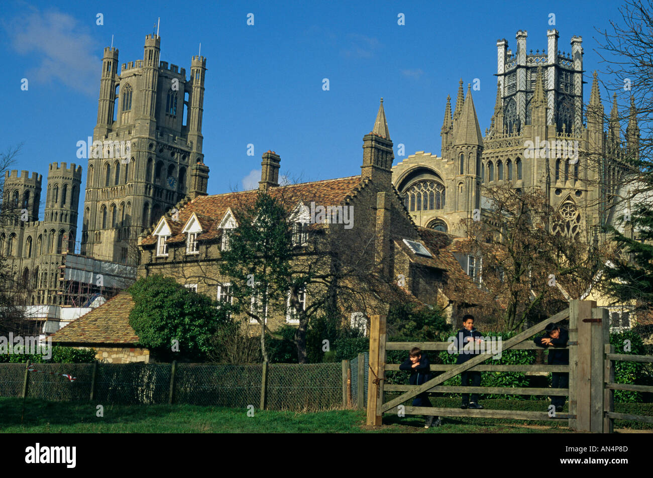 Ely Kathedrale Ely UK Stockfoto