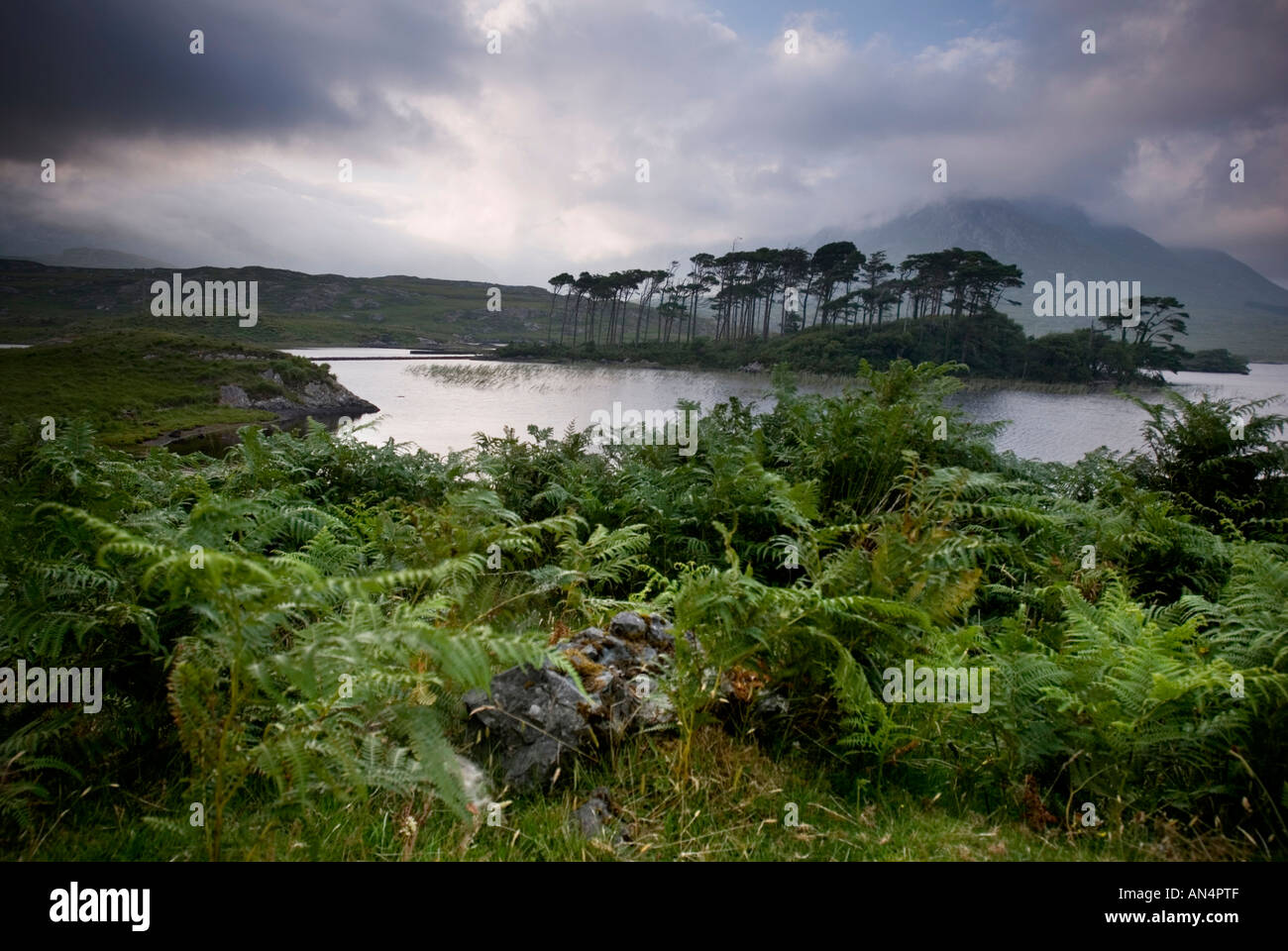 Derryclare See, Connemara, Irland Stockfoto