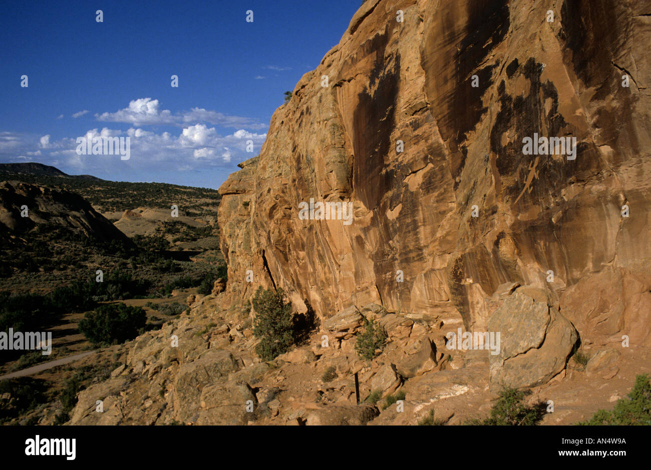 Petroglyphen, darunter eine Eidechse in Klippe Gesicht Dinosaur National Monument Colorado Utah USA Stockfoto