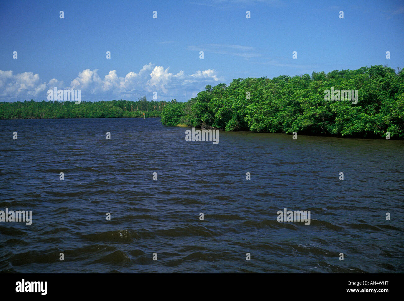 Everglades Nationalpark Florida Vereinigte Staaten von Amerika-Nordamerika Stockfoto