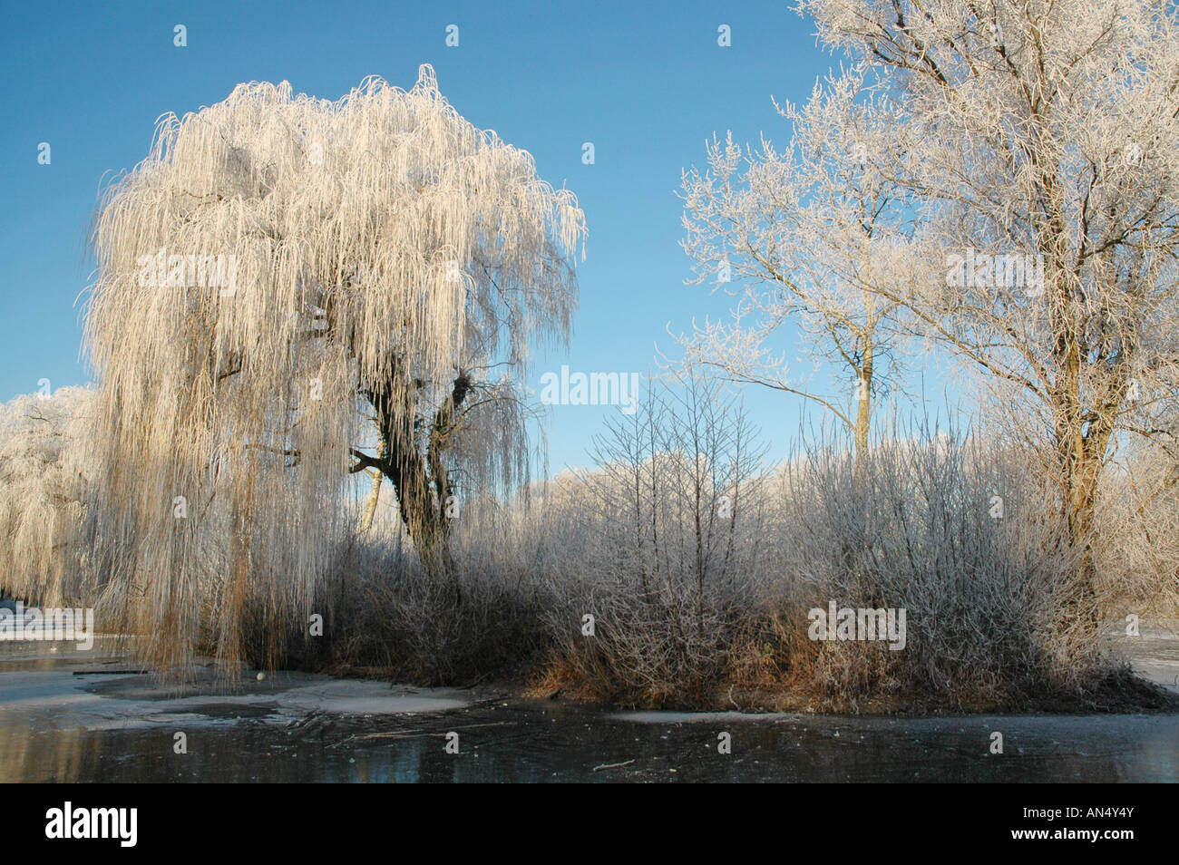 Winter-Szene Roermond Niederlande Europa Stockfoto