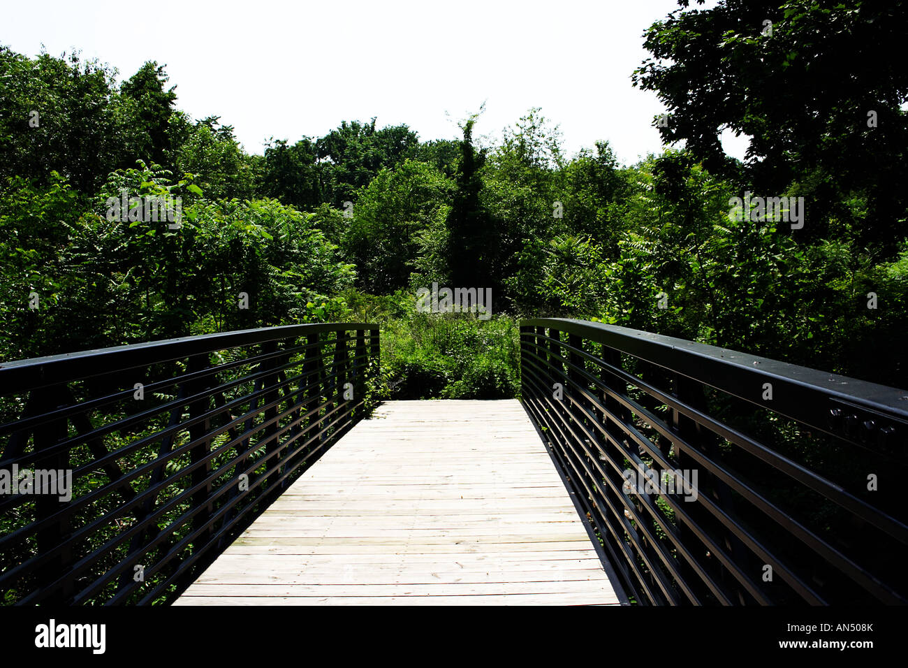 Eine Brücke zu einem Wald sind Parkanlage, die nicht überschritten werden dürfen Stockfoto