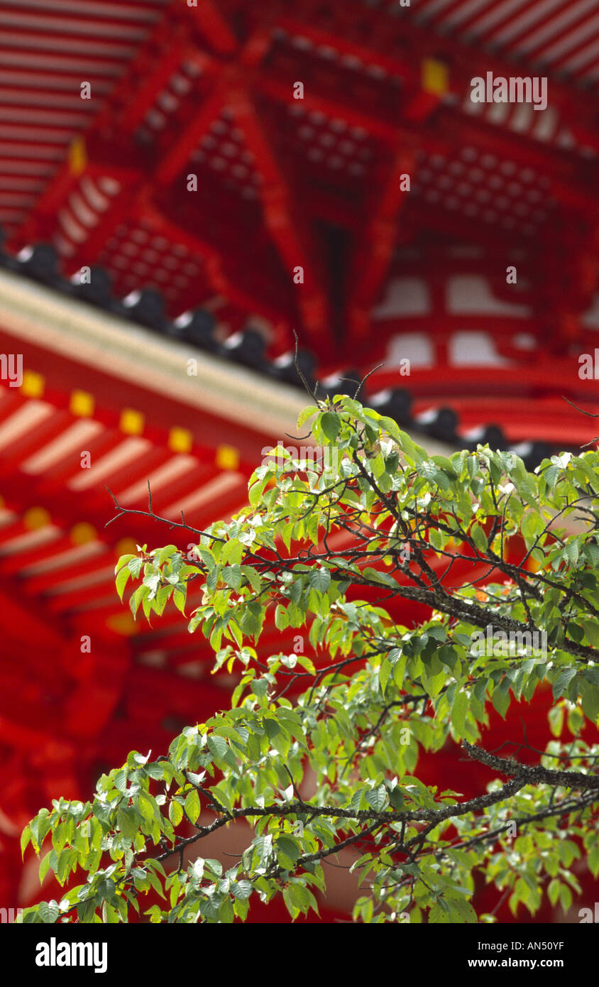 Das große Pagode und der Baum, Dai-an, am Koya-San, Kansai, Japan Stockfoto