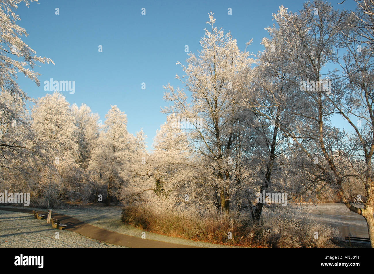 Winter-Szene Roermond Niederlande Europa Stockfoto