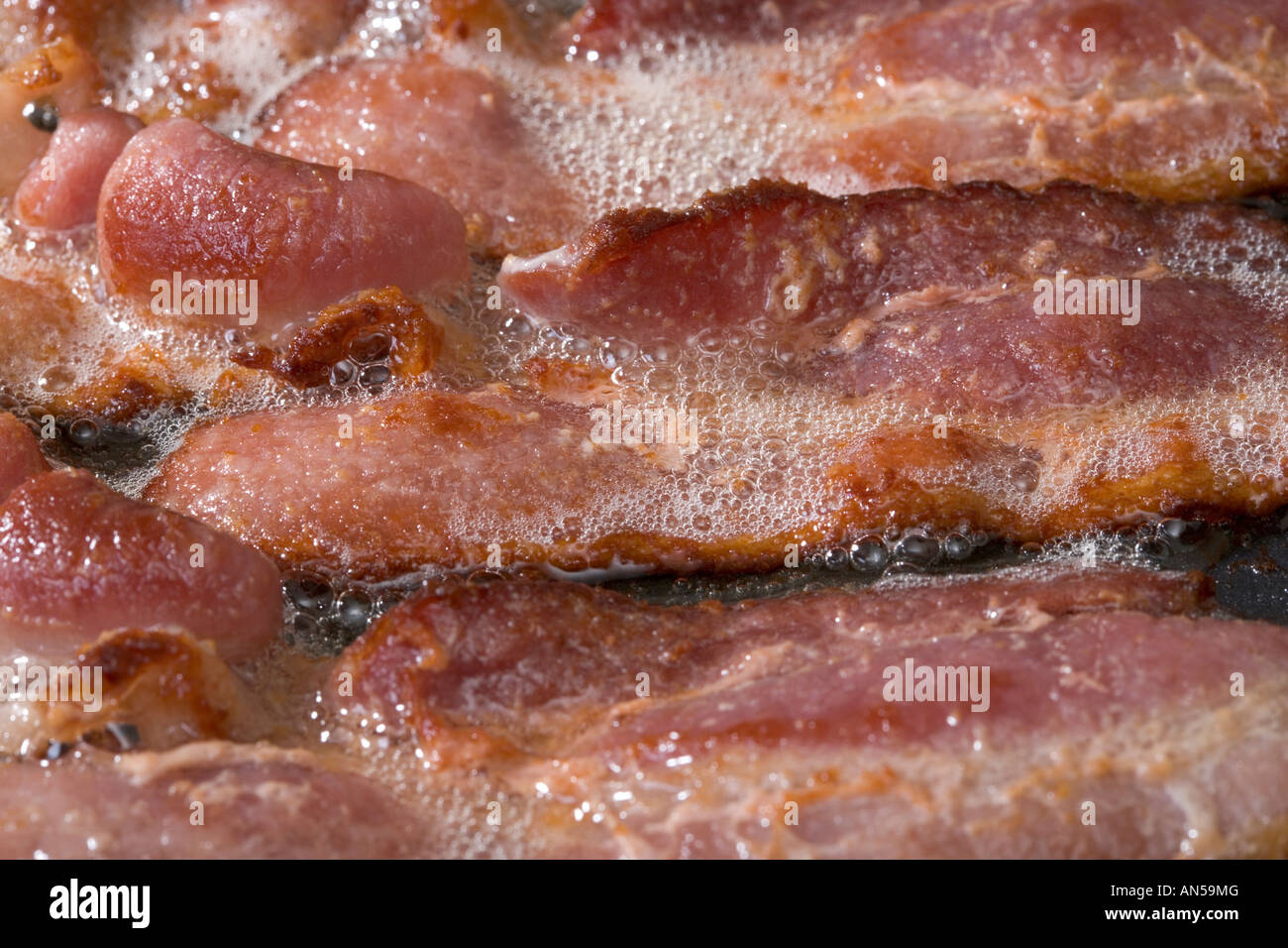 Speck in der Nähe mit glitzernden Fett Kochen Stockfoto