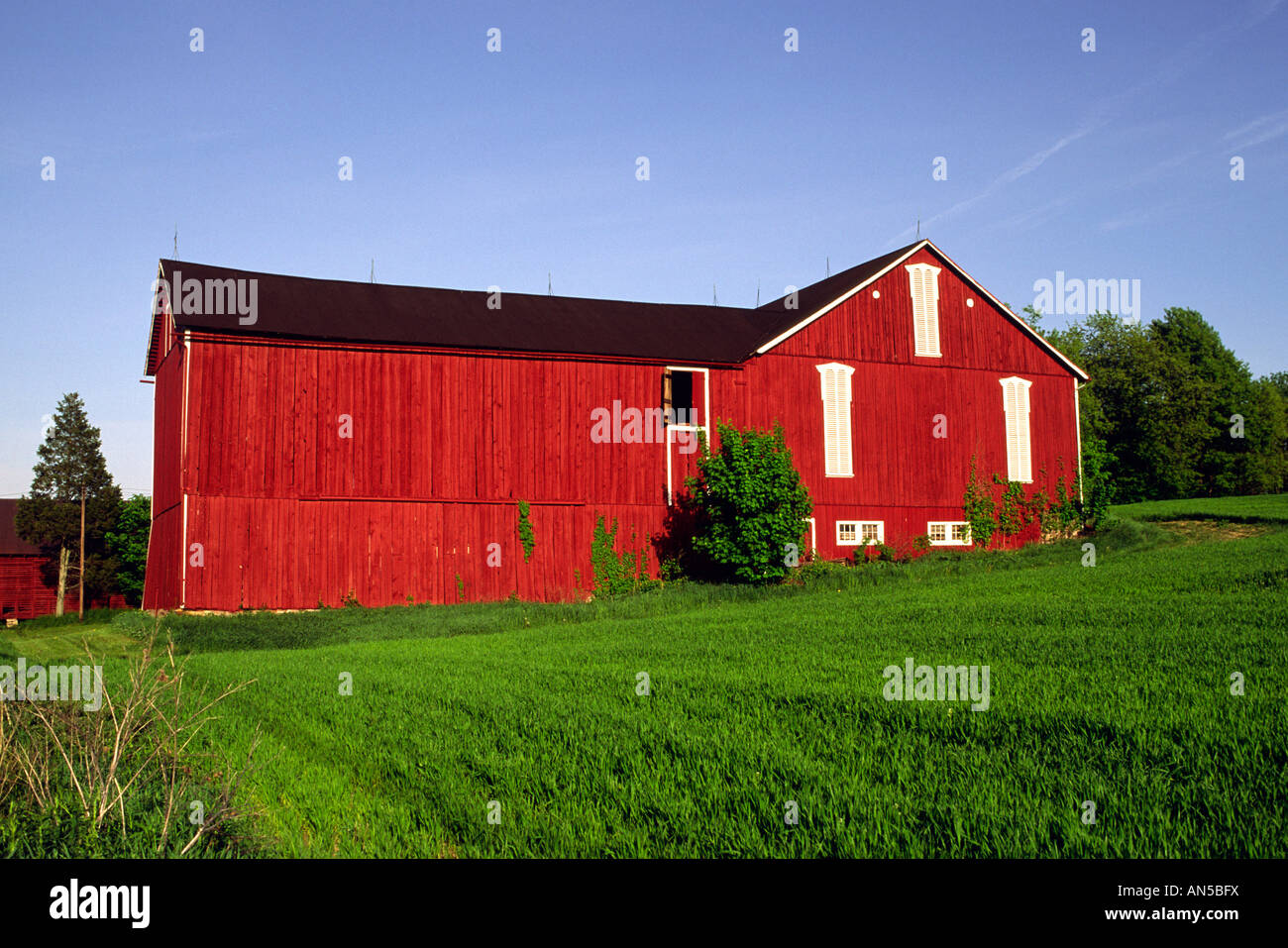 Lebhafte rote Holz Scheune und sattes Grün grass West-Pennsylvania Stockfoto