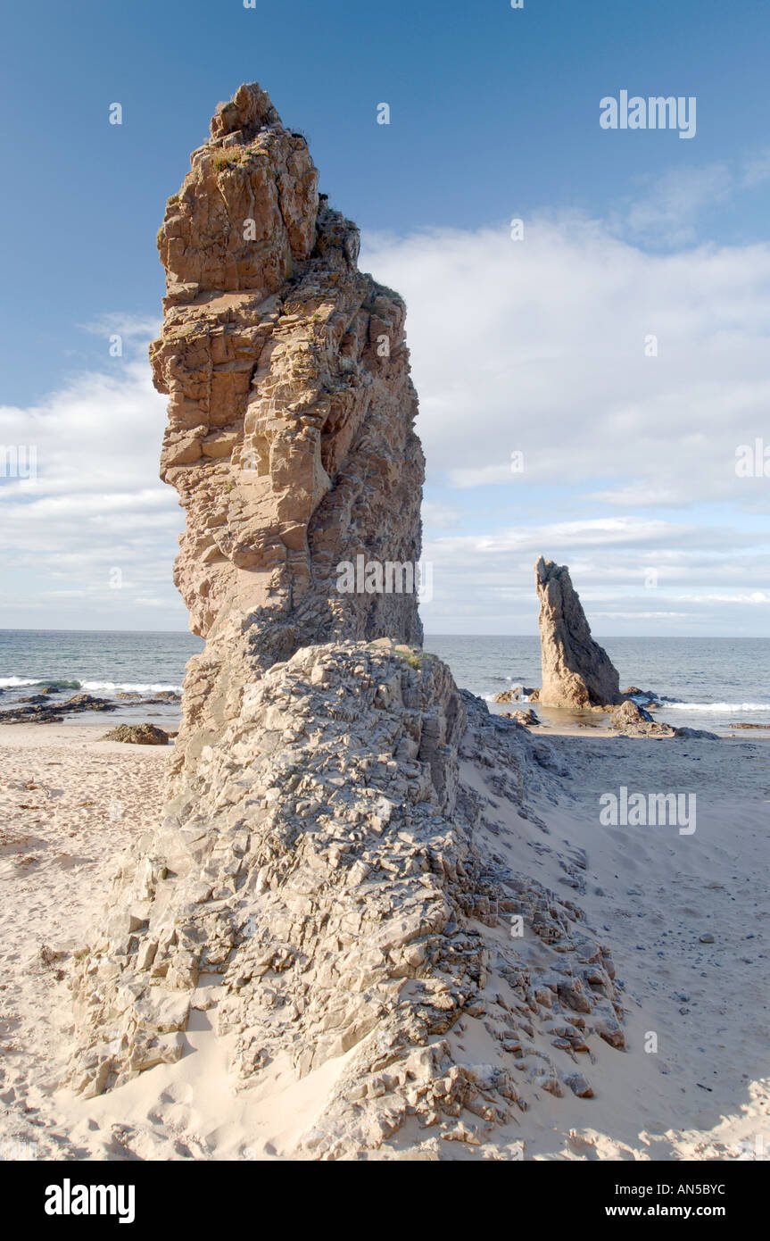 Die Heiligen drei Könige, Rock Stacks auf Cullen Strand, Moray. Grampain Region. Schottland.   XPL 3262-324 Stockfoto