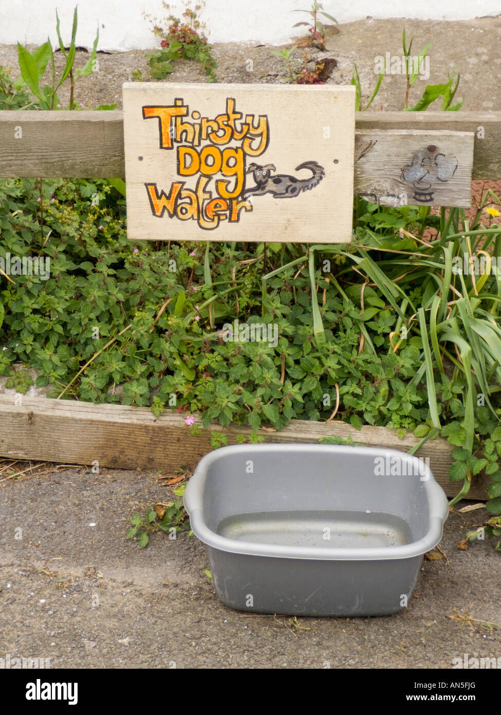 Ferienhaus am Llanmadoc Wales bietet Hund Wasser nach Spaziergang Gassi Stockfoto