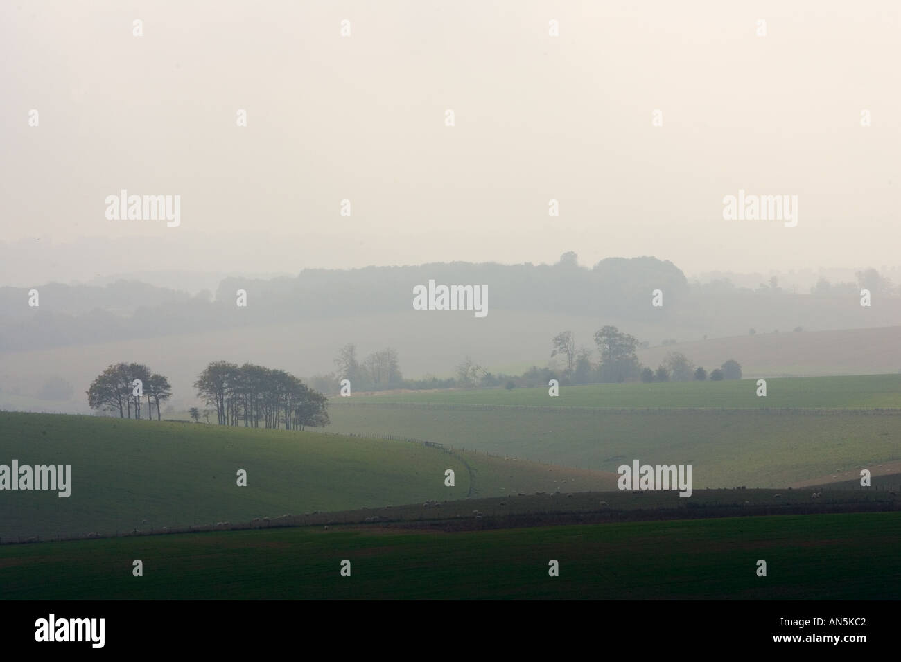 Nord Wessex Schutzgebiet in der Berkshire Downs England Stockfoto