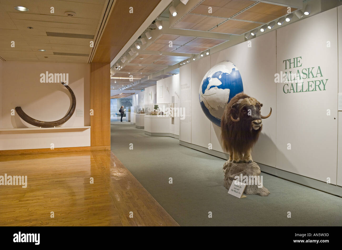 Anchorage Museum für Kunst und Geschichte Eingang zur Galerie Alaska Anchorage in Alaska Stockfoto