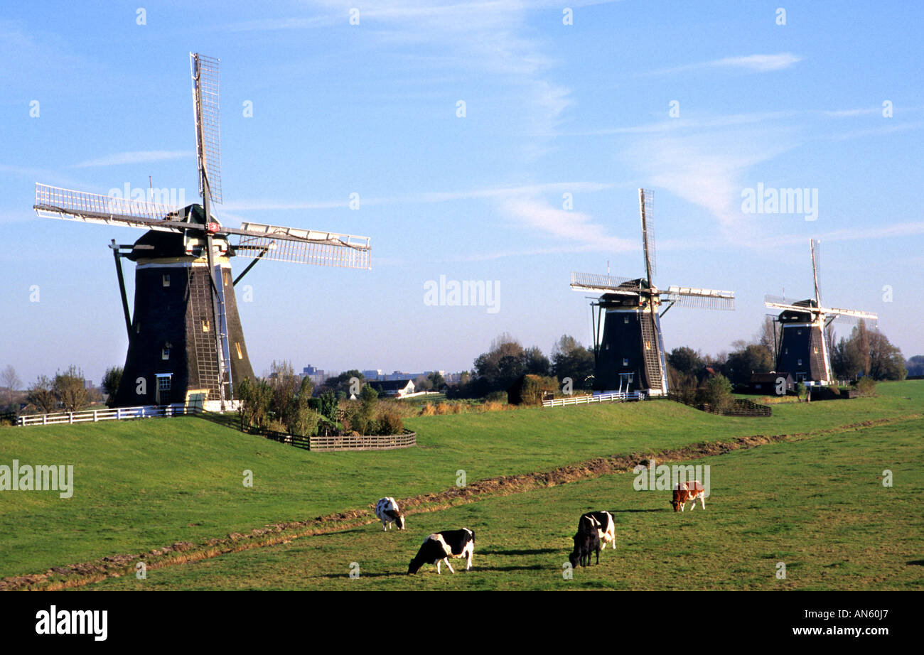 Windmühle Windmühlen Leidschendam in der Nähe von den Haag-Niederlande-Holland Stockfoto