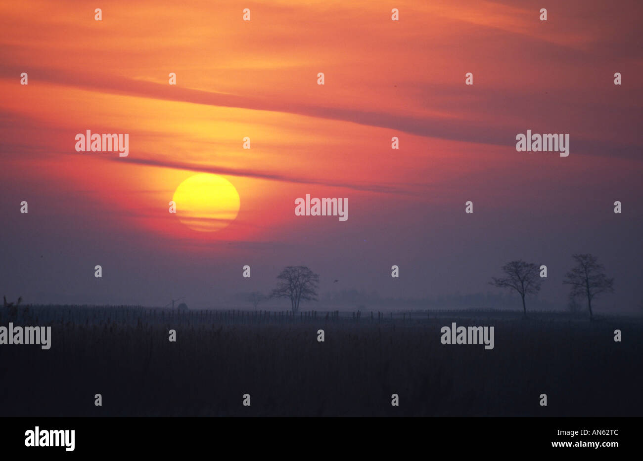 Sunrise, Seewinkel, Burgenland, Österreich, Österreich Stockfoto