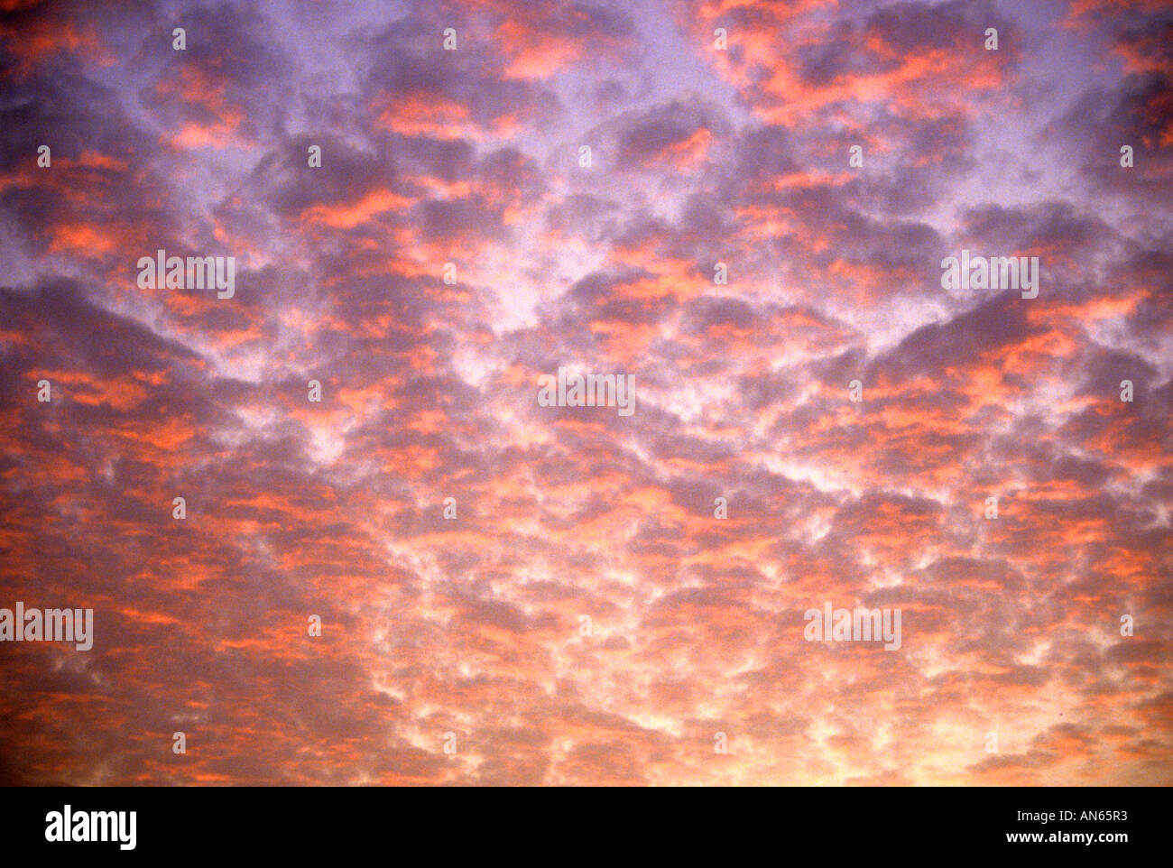 Niederlande Wolke Himmel Luft blaue Wolken Sonnenuntergang Stockfoto