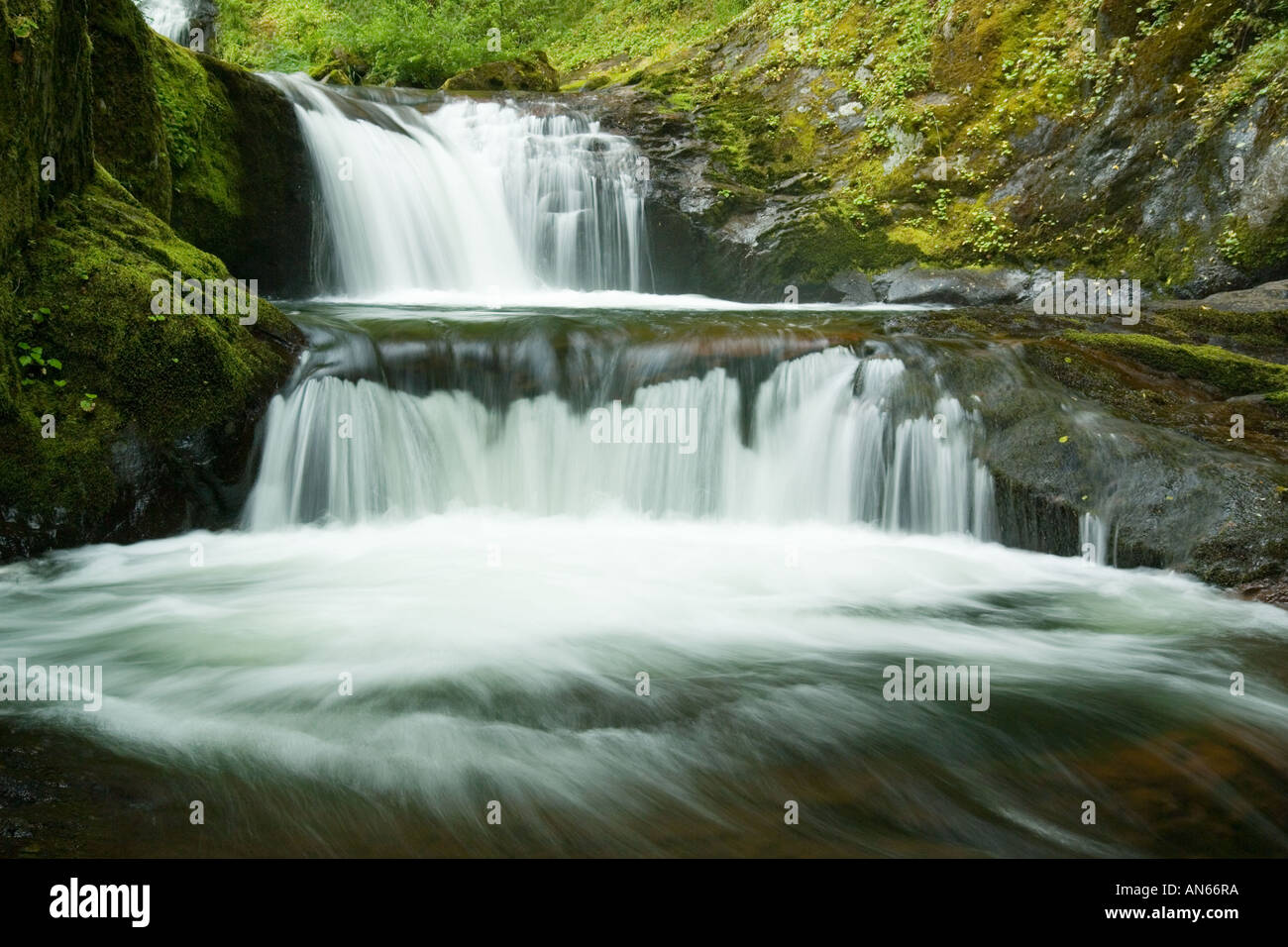 Wasserfall stürzt von Pool zu Pool in ruhigen Wald Einstellung Stockfoto