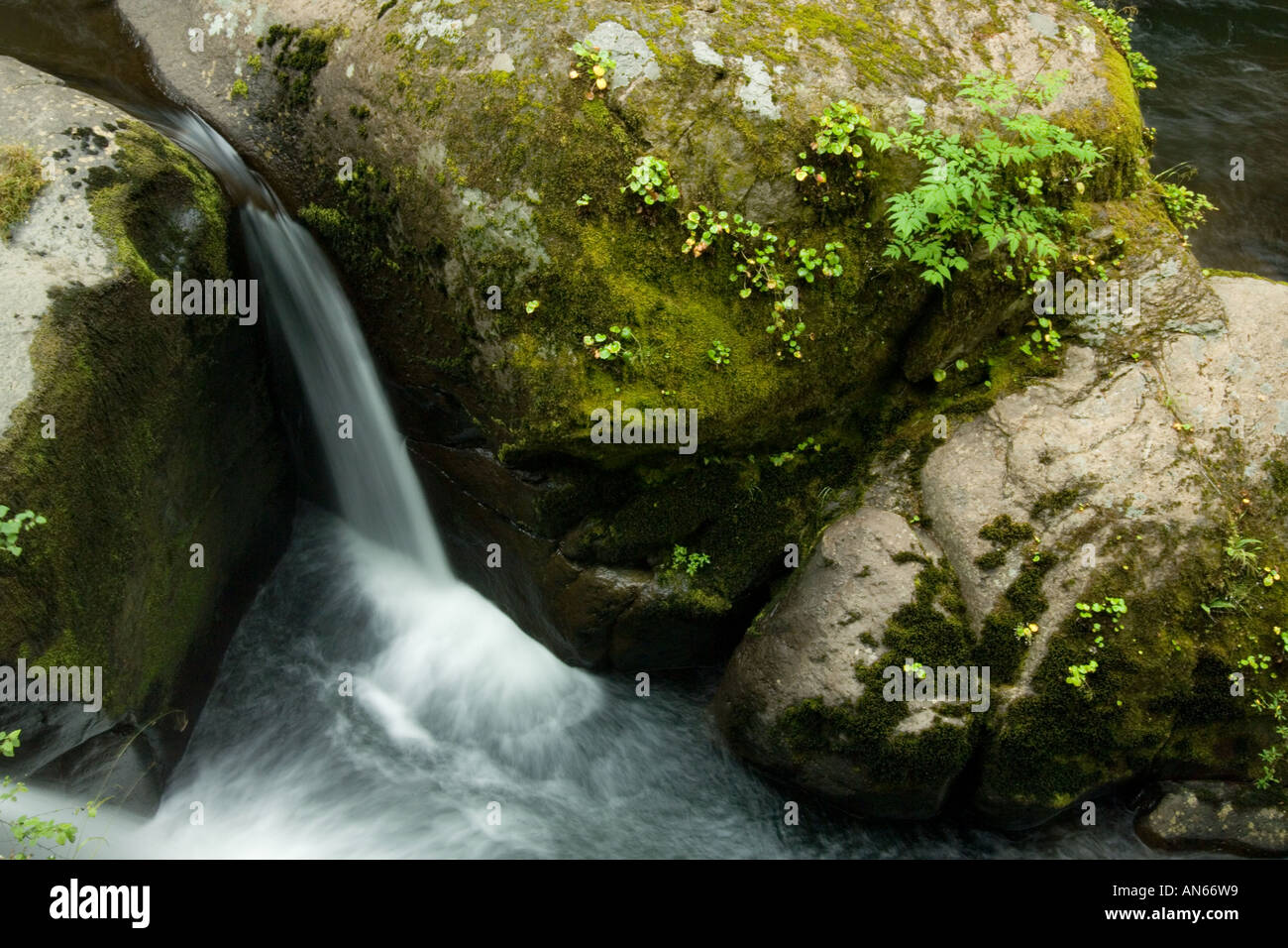 Wasserfall zwischen riesigen Felsbrocken. Stockfoto