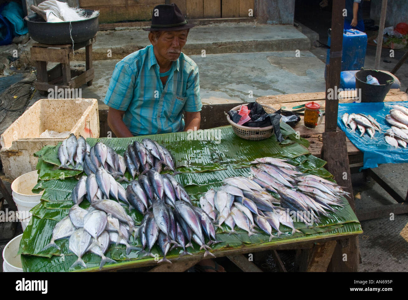 Mann verkaufte Pasar Ikan Fisch Fischmarkt Jakarta Indonesien Stockfoto