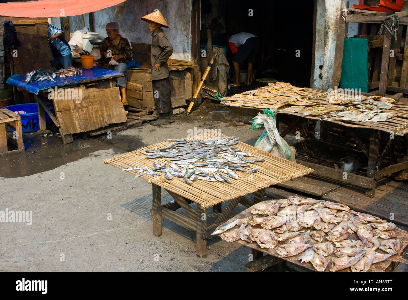 Getrocknete Anbieter Pasar Ikan Fisch Fischmarkt Jakarta Indonesien Stockfoto