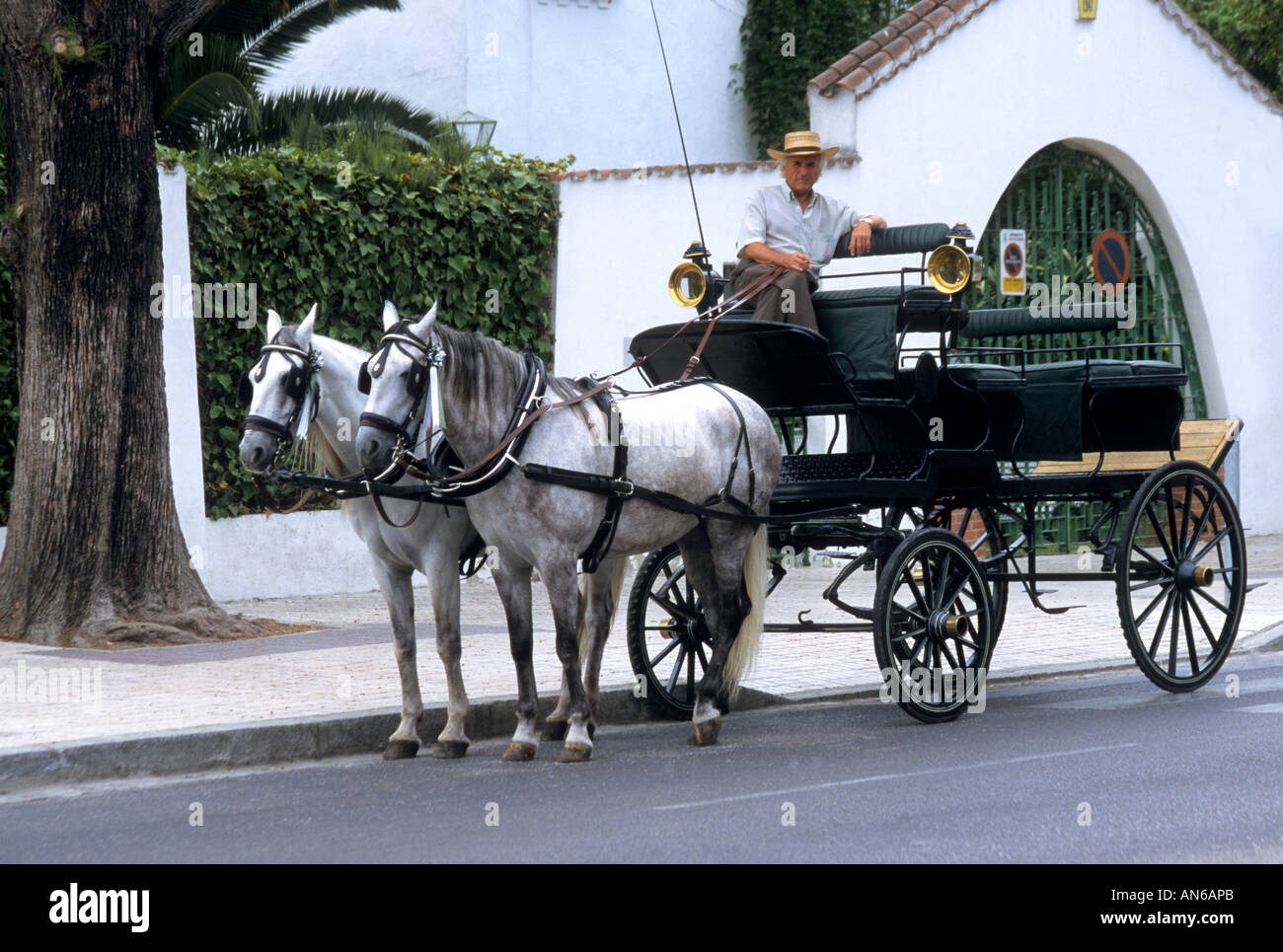 Wagen und Pferde warten auf Touristen in Jerez De La Frontera Spanien Stockfoto