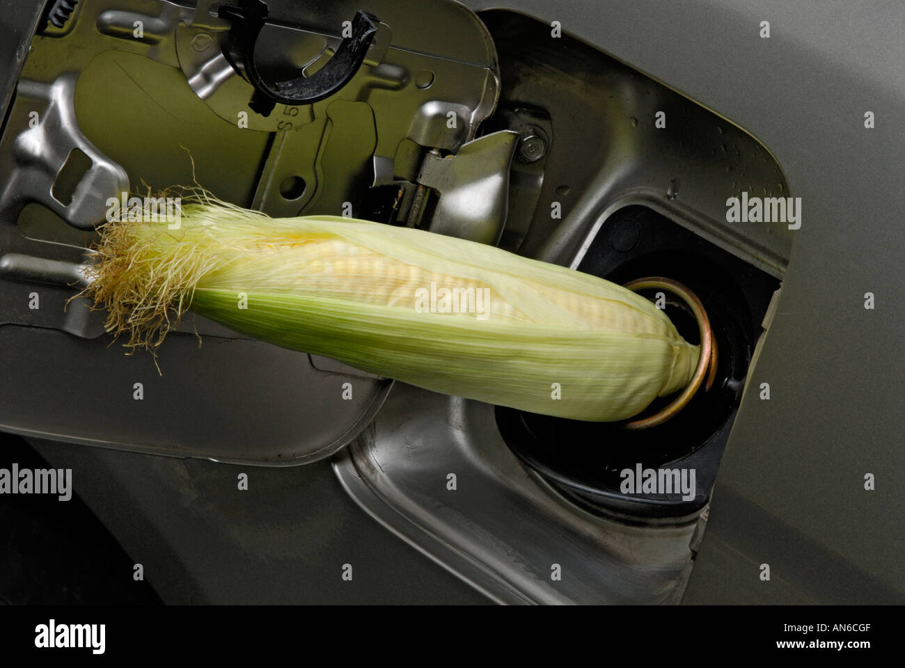 Biokraftstoff-Bio-Kraftstoff: Mais in Gas-Tank des Autos Stockfoto