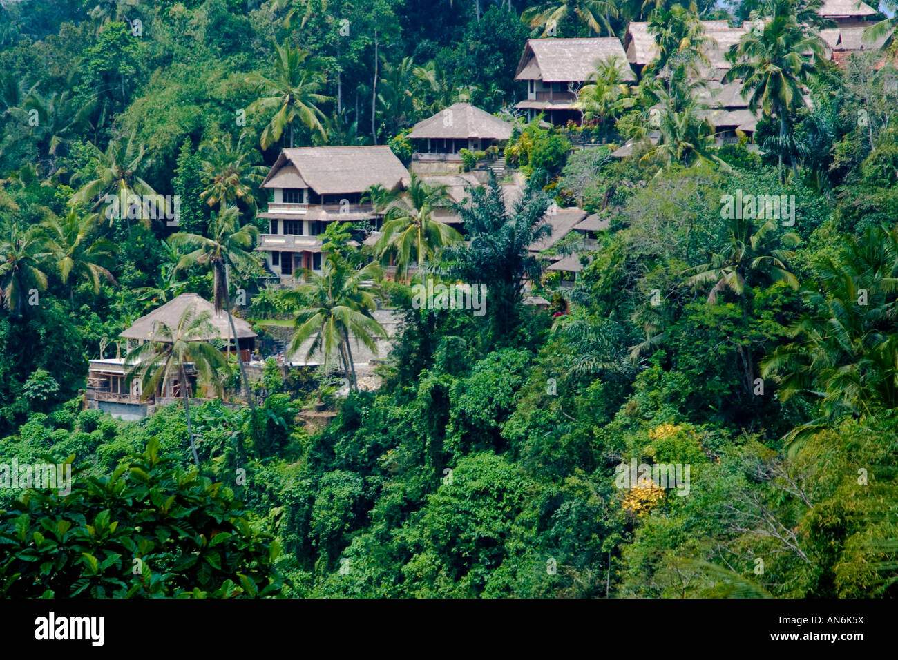 Resort-Hotel inmitten der Dschungel Ubud Bali-Indonesien Stockfoto