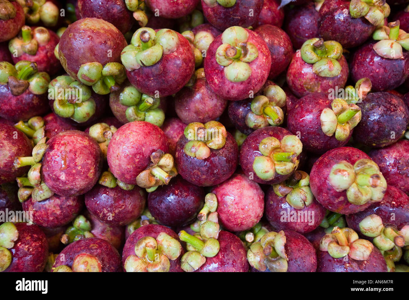 Mangostan-Früchte Stockfoto