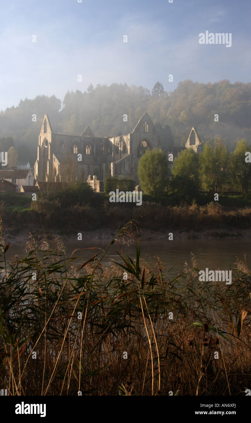 Eine neblige Tintern Abbey am Ufer des Flusses Wye am Tintern, Monmouthshire, South Wales, UK. Stockfoto