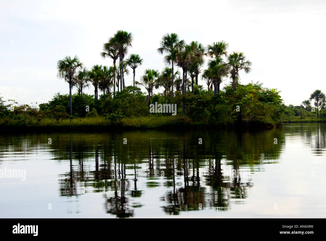 Palm Island am Fluss Preguiças, Maranhao, Brasilien Stockfoto