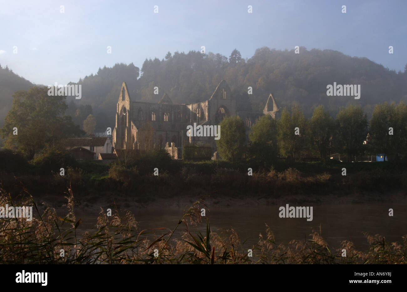 Eine neblige Tintern Abbey am Ufer des Flusses Wye am Tintern, Monmouthshire, South Wales, UK. Stockfoto