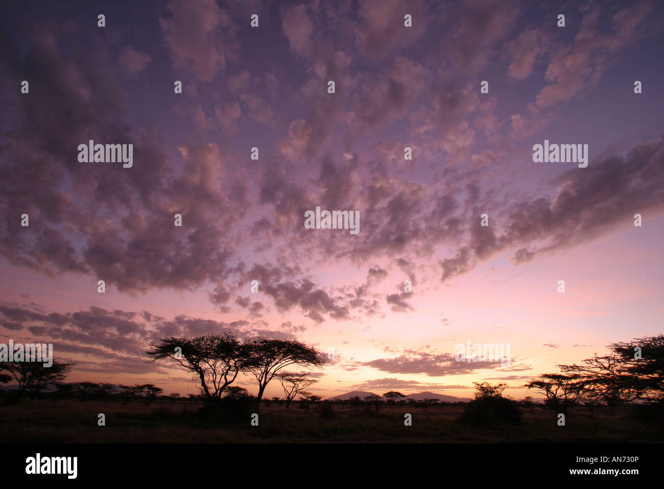 typischen afrikanischen Sonnenuntergang Stockfoto