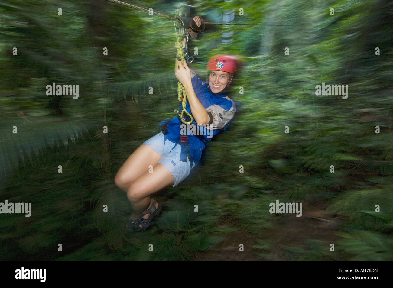 Frau auf Canopy Zipline, Turrialba, Costa Rica Stockfoto