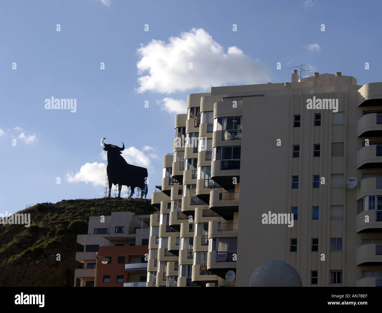 Osborne Stier, Torreblanca, Fuengirola, Costa Del Sol, Spanien Stockfoto
