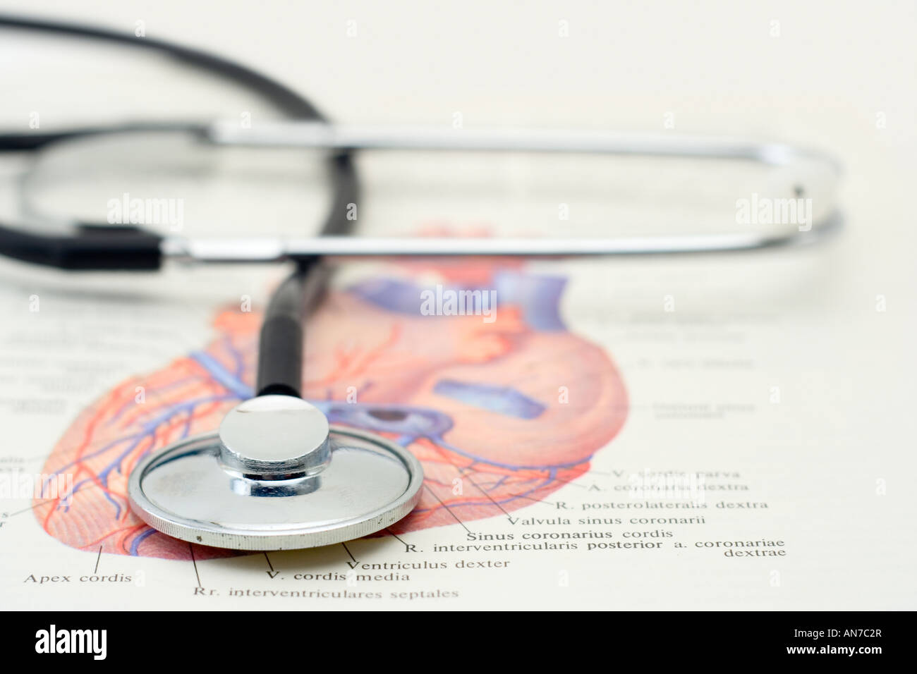 Stethoskop auf ein medizinisches Buch Stockfoto