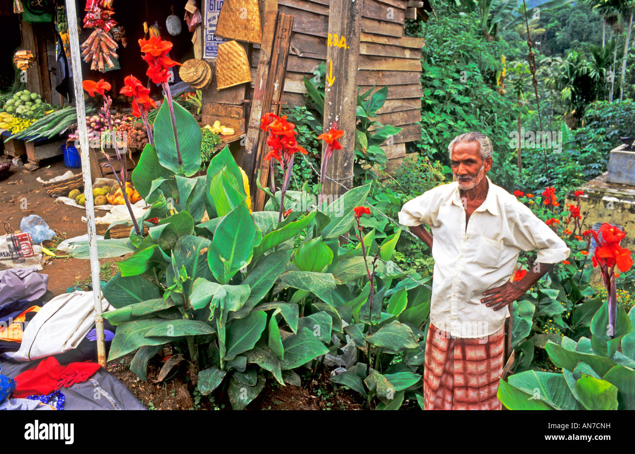 Alter Mann in Pussellawa Sri Lanka Asien stehen in seiner Stadt am Straßenrand Garten mit Rot canna Blumen neben einem Shop Stockfoto