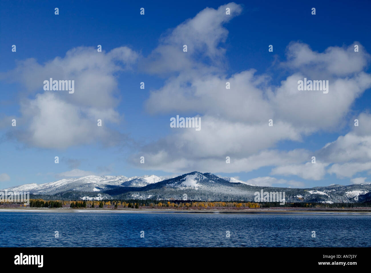 Yellowstone im winter Stockfoto