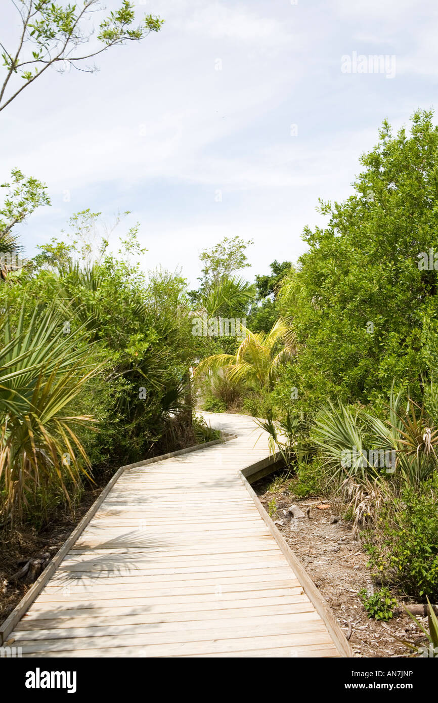Pathway Bowmans Beach Sanibel Island in Florida Stockfoto