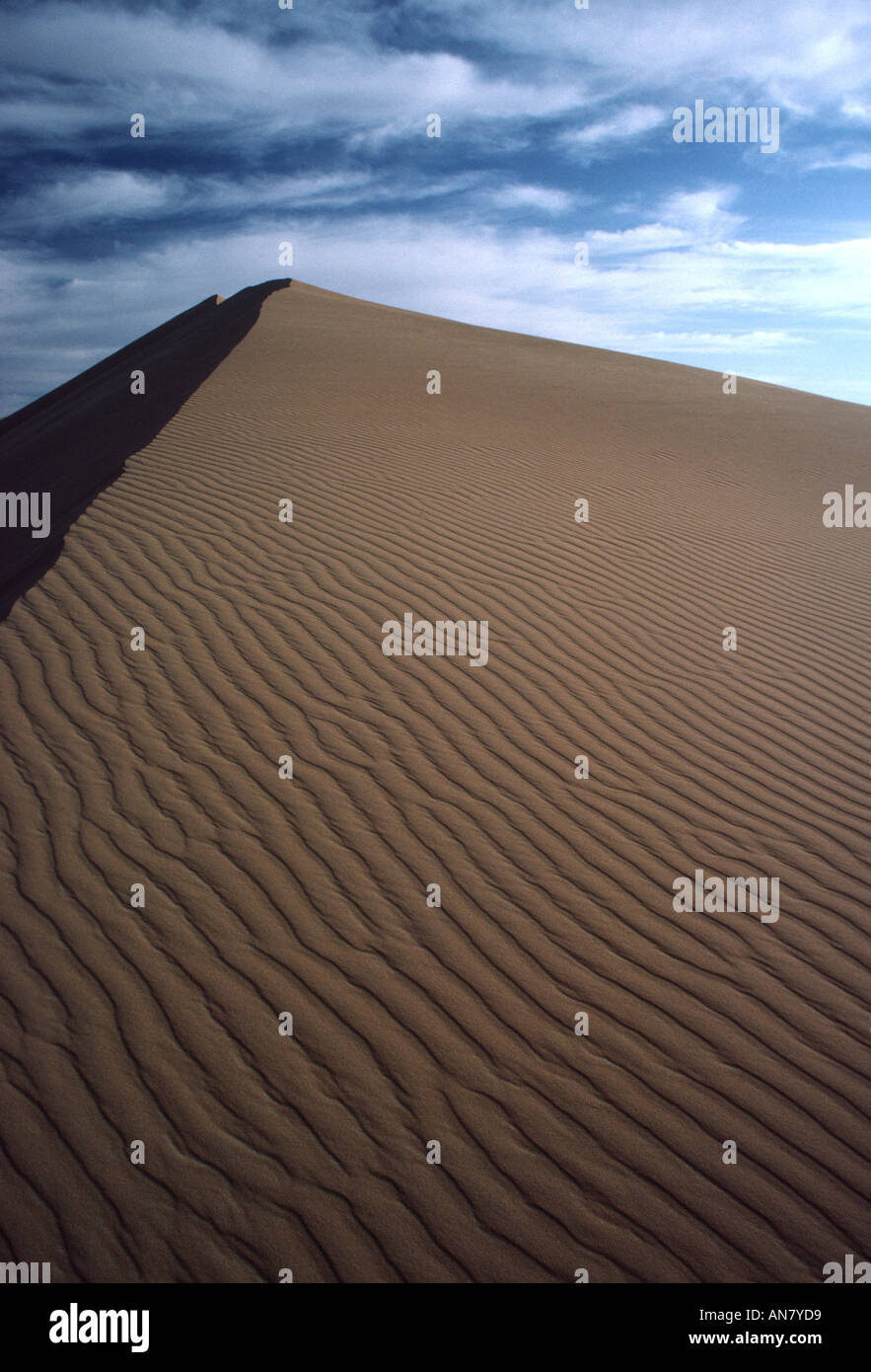 Eine grafische Fotografie Welle wie Muster auf einer Sanddüne in der Wüste außerhalb Oman gesetzt vor blauem Himmel mit Wolken punktiert. Stockfoto