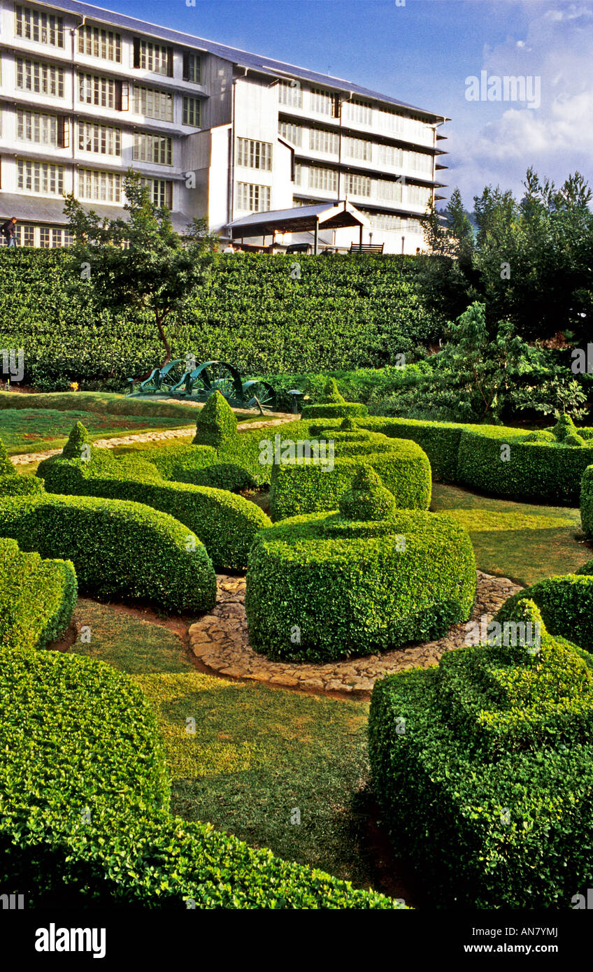 Ordentlich skulpturierten Formschnitt-Hecken in einem Ziergarten in hügeligem Gelände im Tea Factory Hotel in der Nähe von Nuwara Eliya Sri Lanka Stockfoto