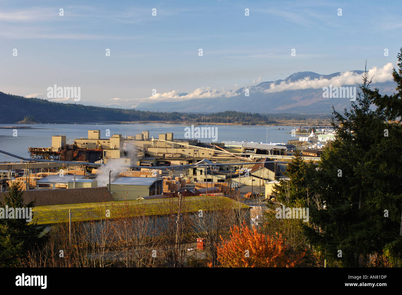 Port Alberni Inlet Holz Sägewerk Vancouver Island, BC Kanada Stockfoto