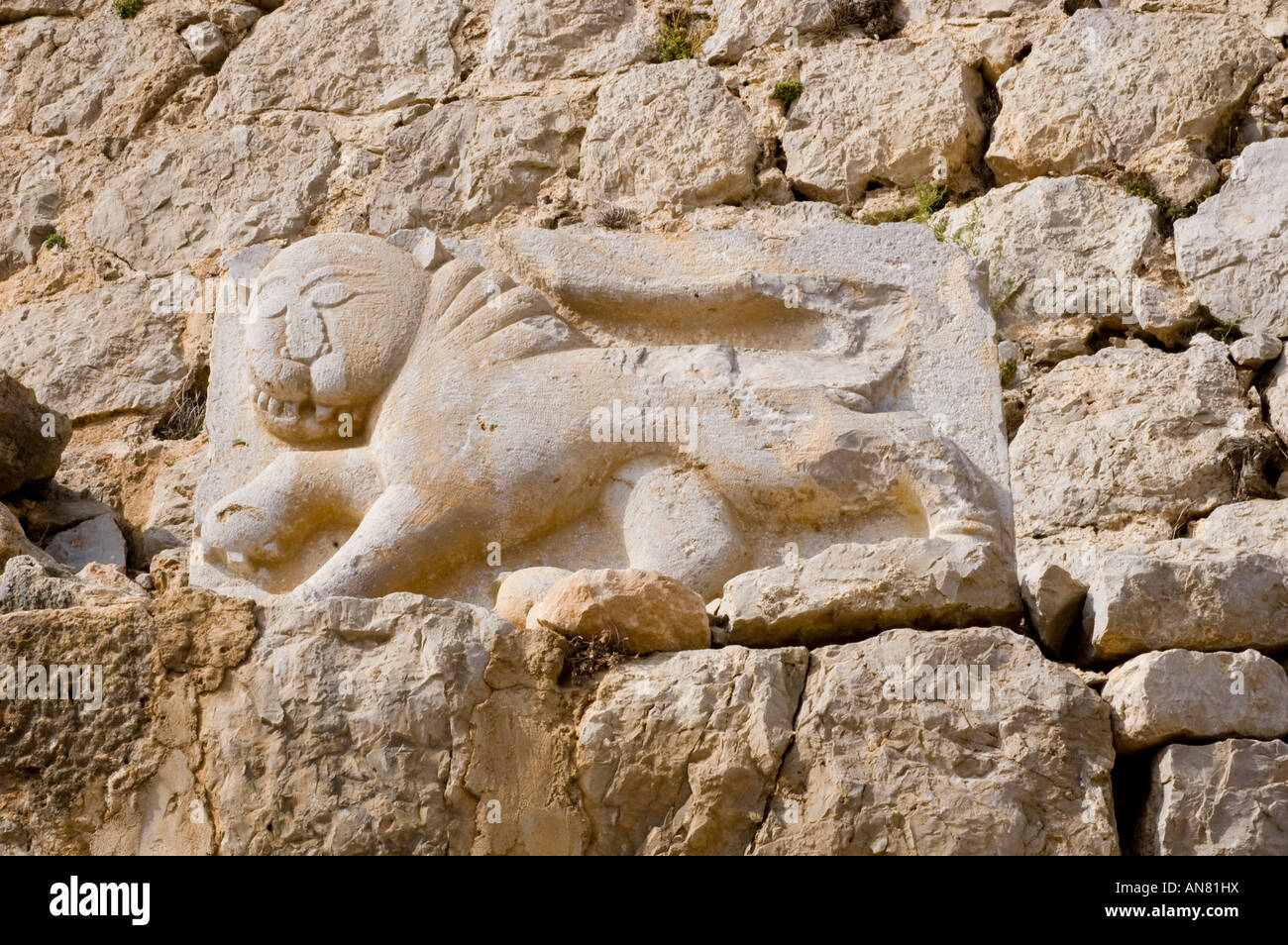 Das Siegel des Löwen - zugeschrieben Sultan Baibars - Schloss Nimrods, Golanhöhen, Israel Stockfoto