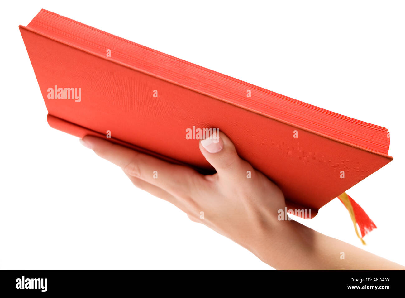 Weibliche Hand hielt die Heilige Schrift. Isoliert auf weißem Hintergrund. Stockfoto