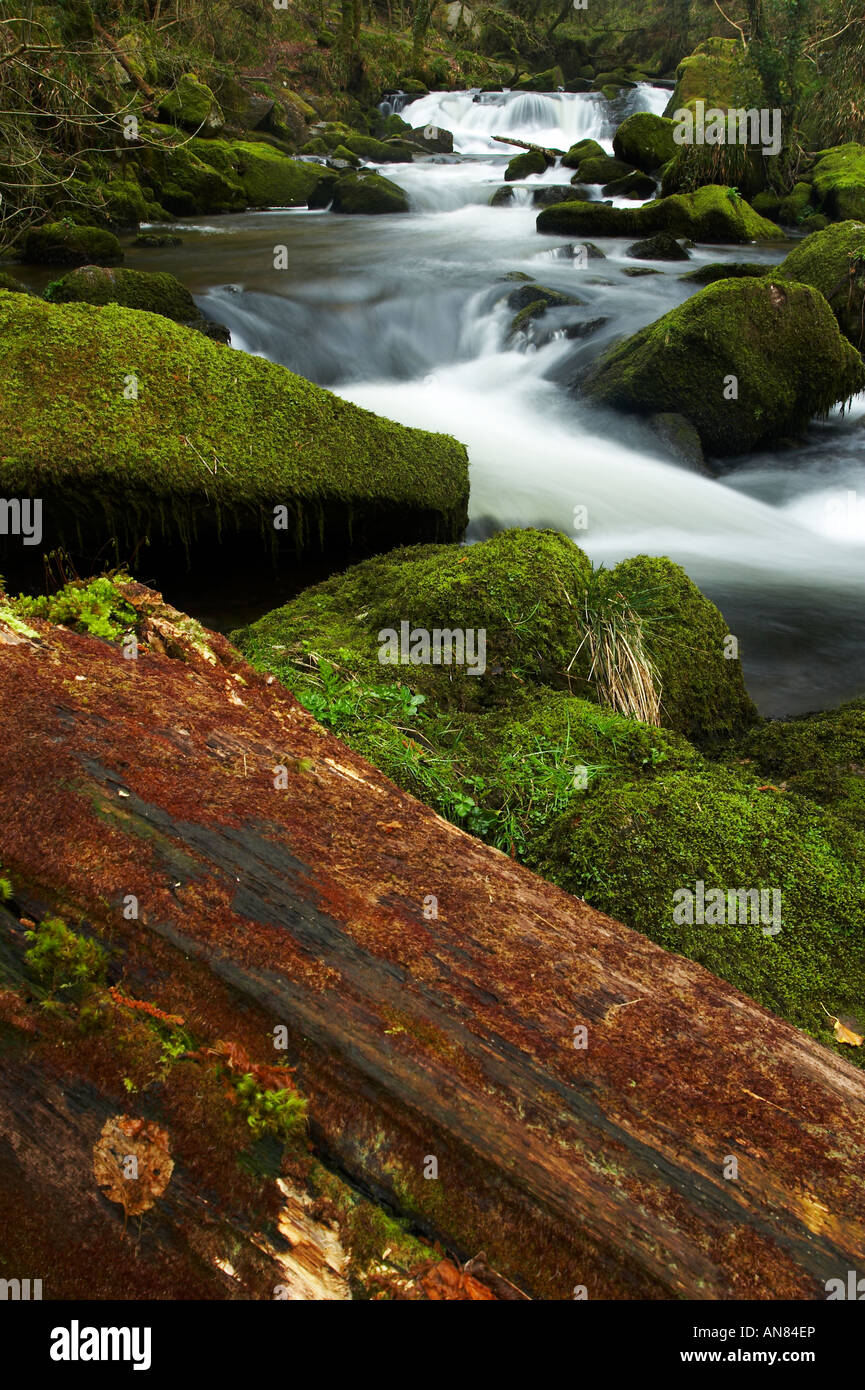 Golitha Falls, Bodmin Moor, Cornwall, UK Stockfoto