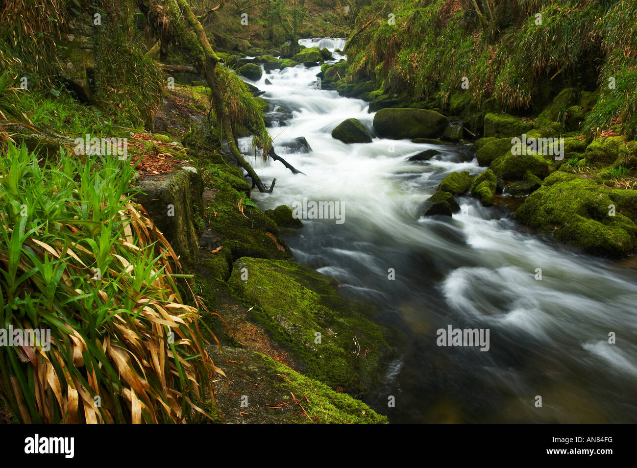 Golitha Falls, Bodmin Moor, Cornwall, UK Stockfoto