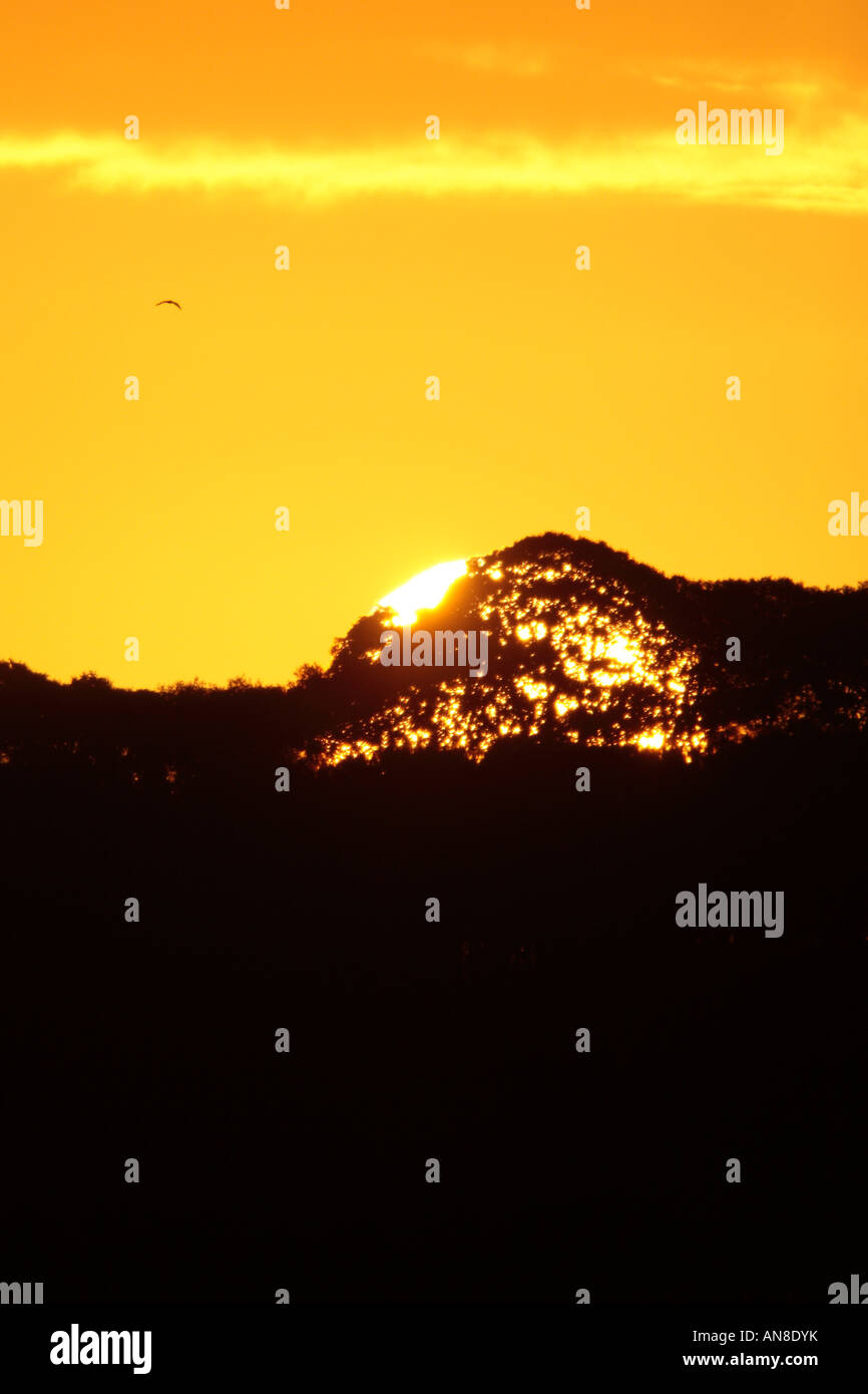 Sunrise Holkham Norfolk Stockfoto
