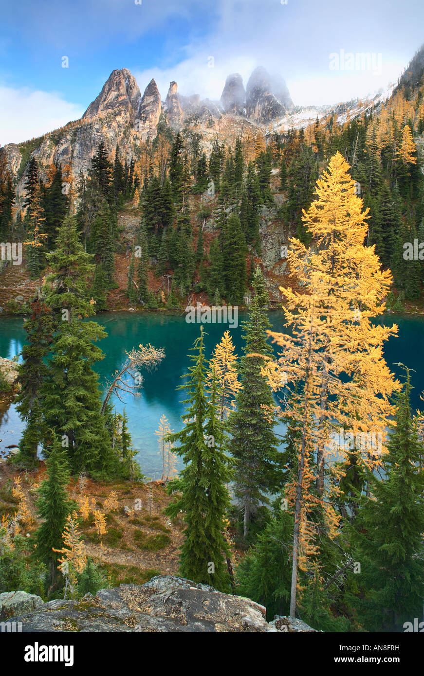 Berg-Lärchen am blauen See Stockfoto
