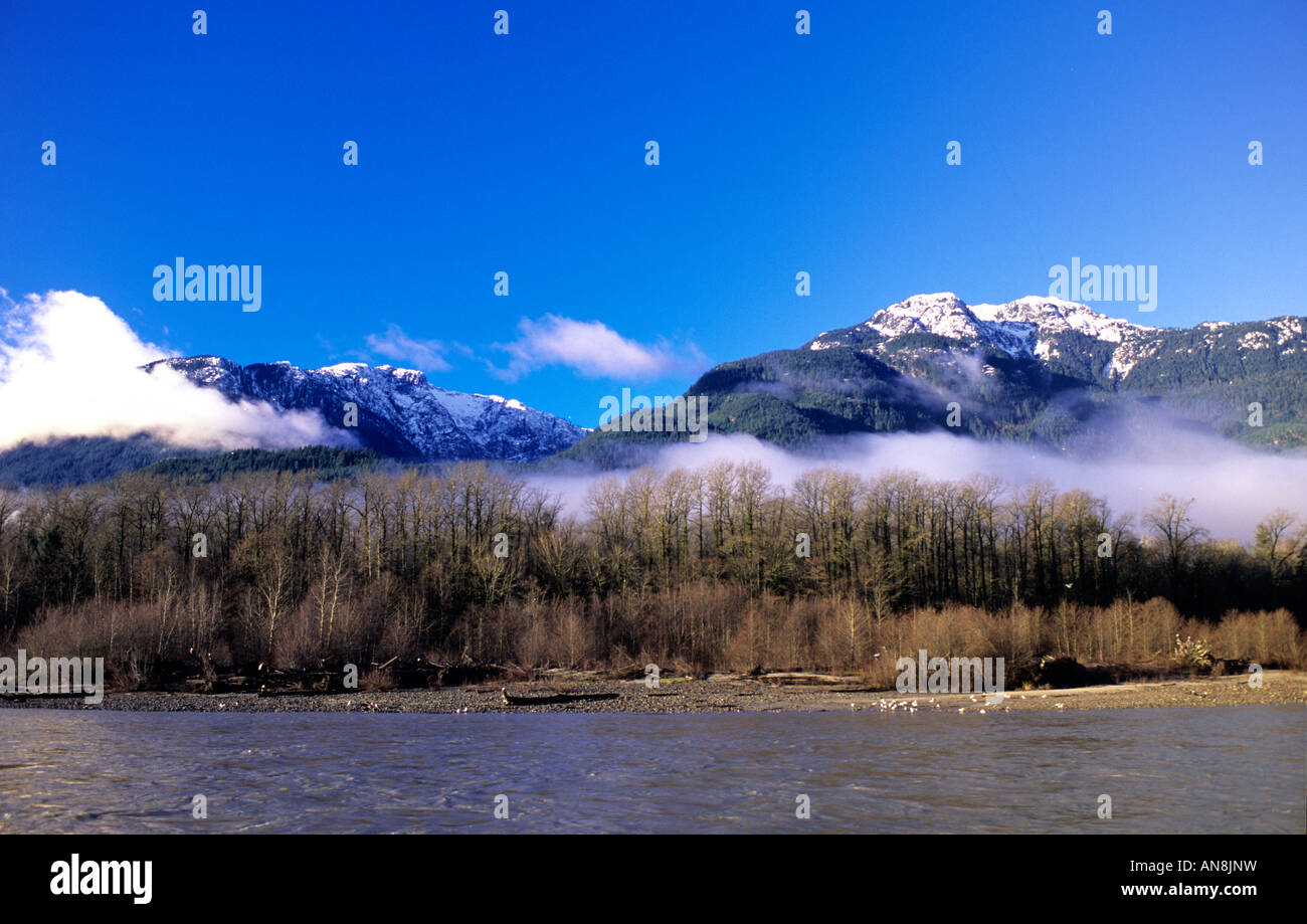 Coast Mountains und Squamish River in der Nähe von agassiz British Columbia Stockfoto