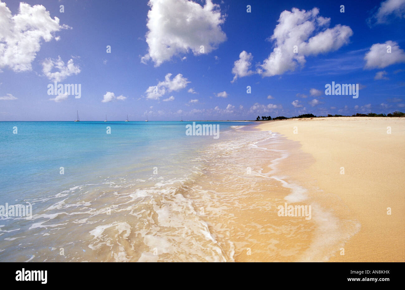 Low Bay Beach Barbuda Antigua Caribbean. Stockfoto