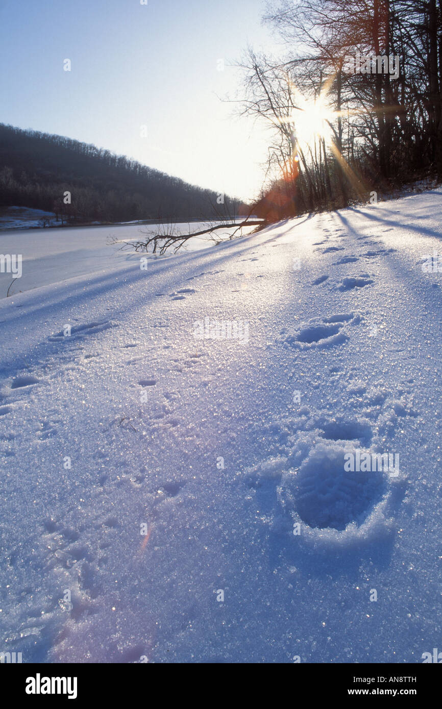 Fußabdruck im Schnee bei Sonnenaufgang, Gipfel der Otter, Blue Ridge Parkway, Virginia, USA Stockfoto