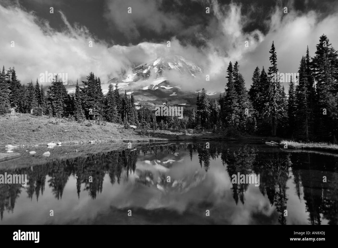 Mt Rainier Reflexion in schwarz / weiß Stockfoto