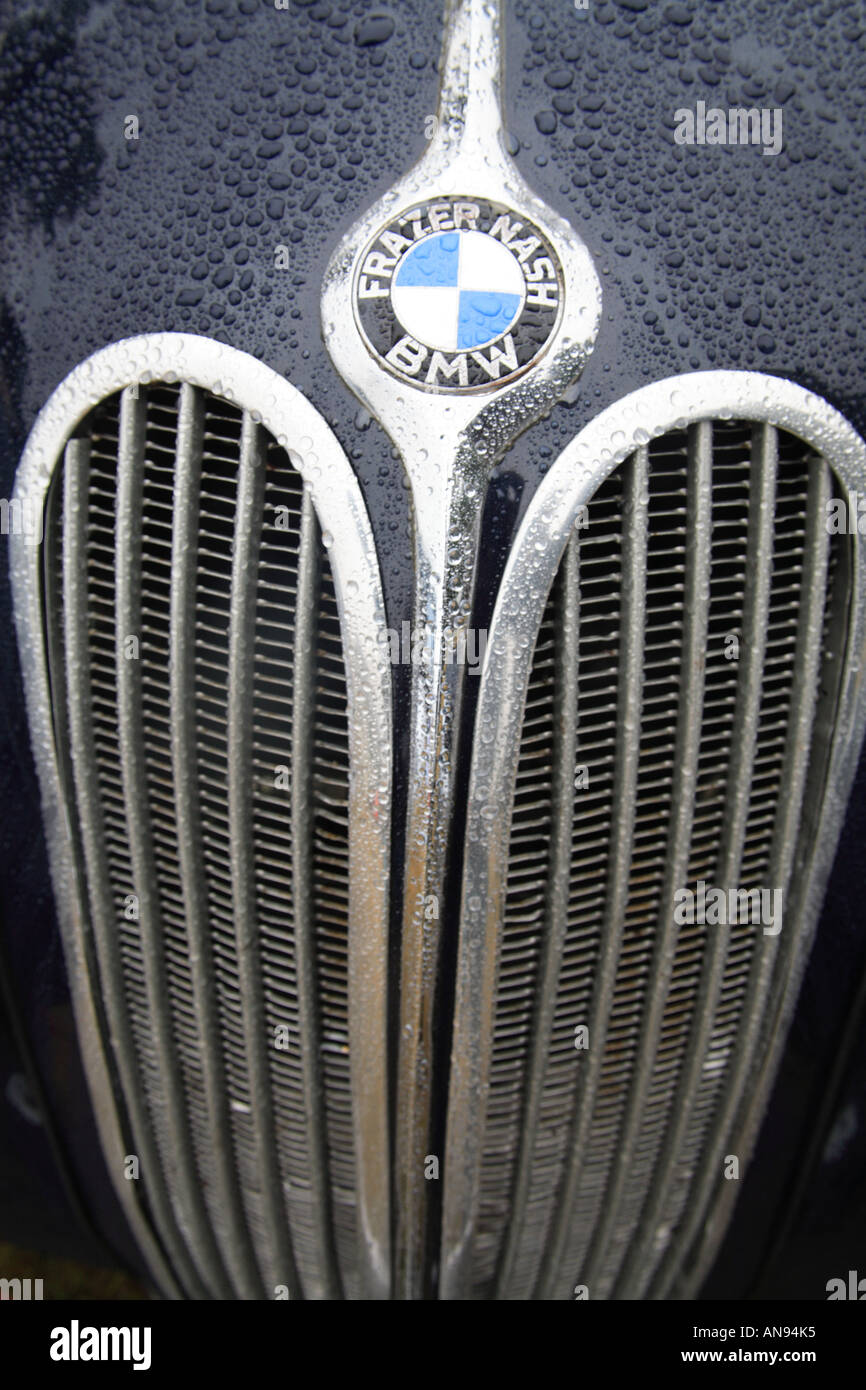 Goodwood FOS 2006 Rennsport Auto klassische Legende historischen Rennen Autofestival speed blau BMW B M W Frazer Nash 328 1937 Regen Dro Stockfoto